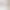 Das Wort "Konferenz" wird an eine hellbeige Wand projiziert